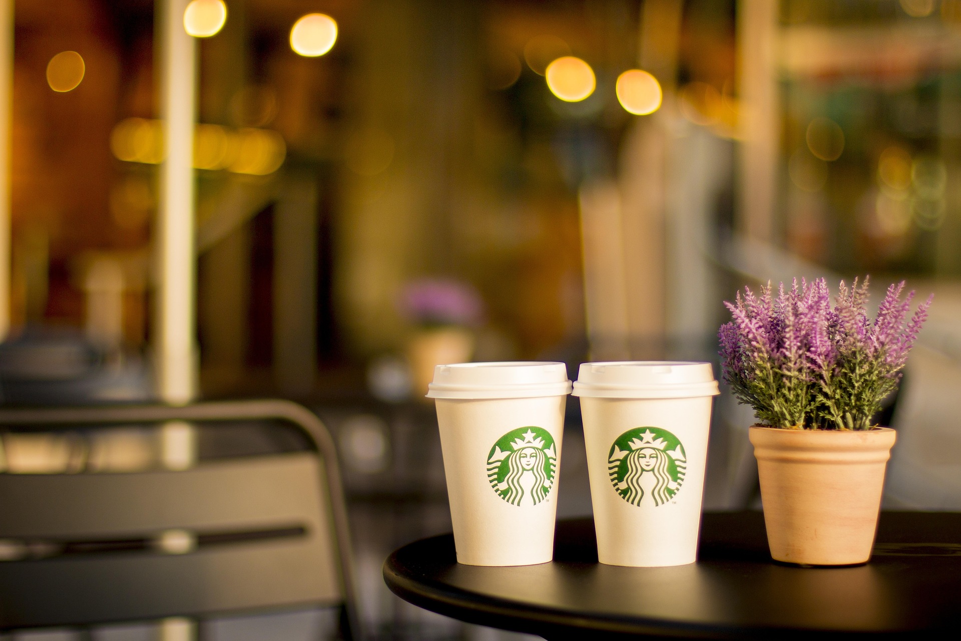 Coffee cup surrounded by nature